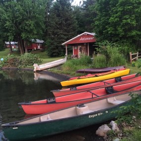 www-dgbookblog-comnewyork