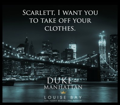 Manhattan skyline by night from Brooklyn bridge park - USA