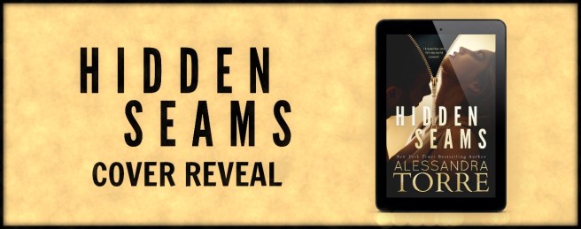 www.dgbookblog.com:Hidden Seams CR banner