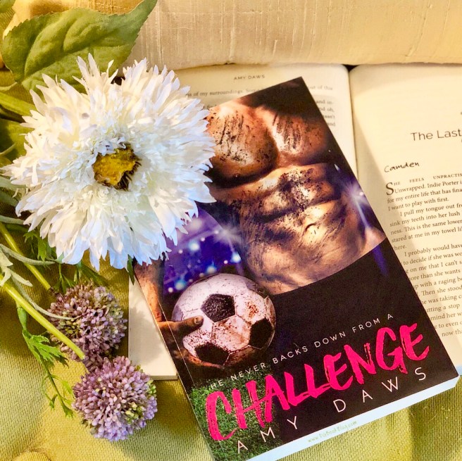 www.dgbookblog.com:challenge.amy.daws.giveaway2