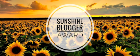 www.dgbookblog.com:sunshine.blogger.award