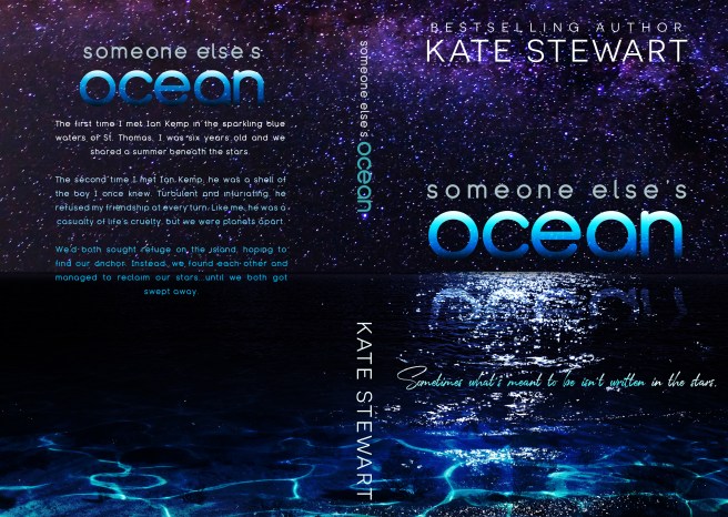 www.dgbookblog.com:someone elses ocean mock sleeve