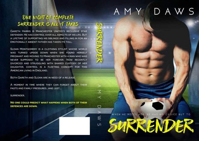 www.dgbookblog.com:Surrender Full Wrap