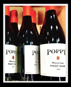 www.dgbookblog.com:poppy.wine
