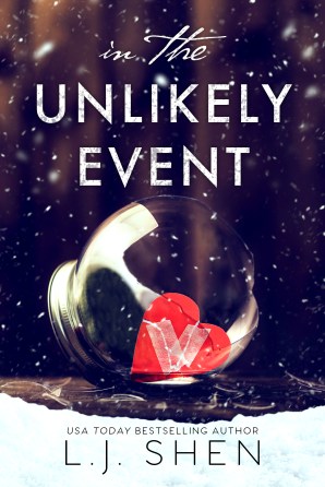www.dgbookblog.com:In the Unlikely Event AMAZON-1